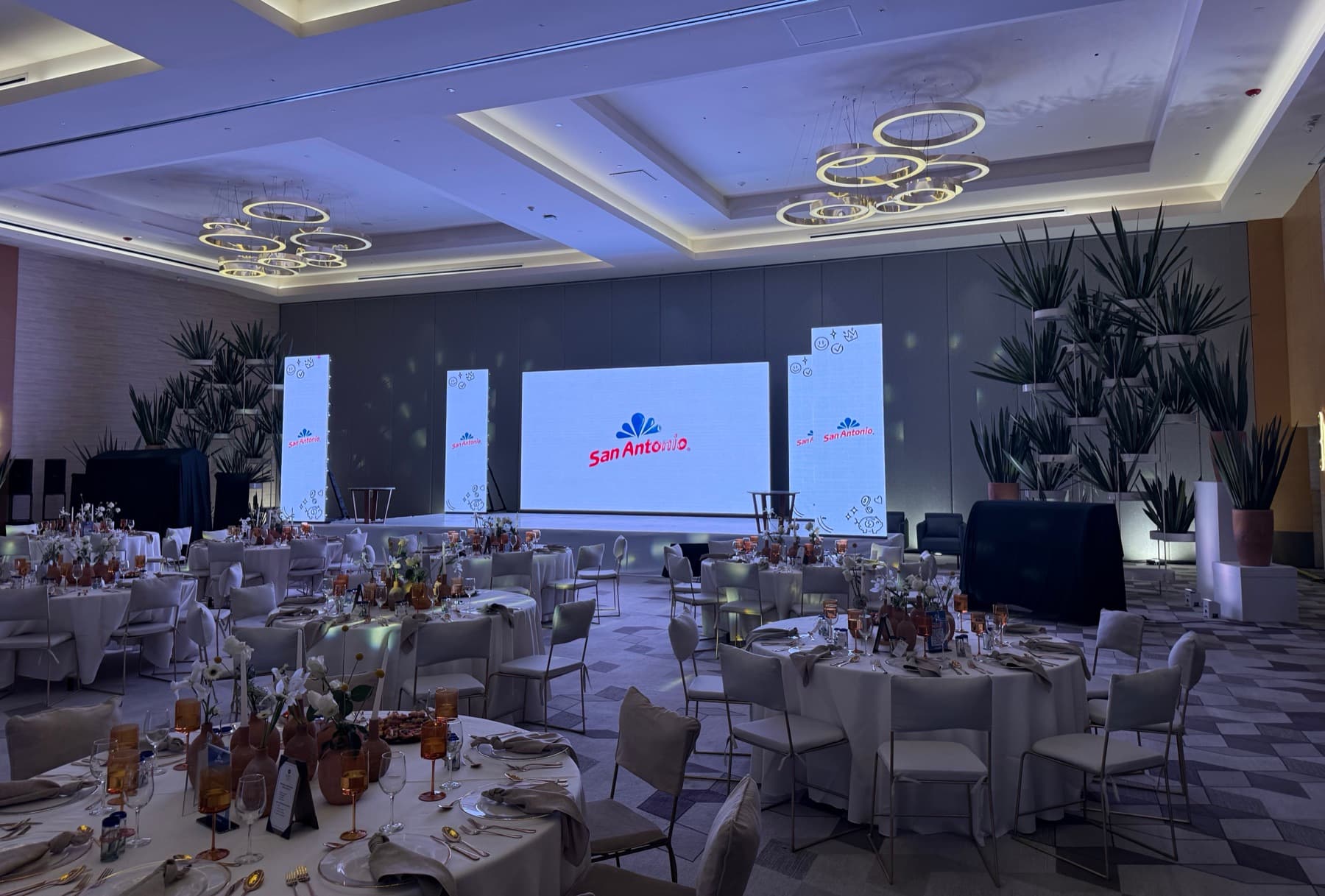 Lanzamiento de marca · hotel